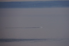 Beluga Lighthouse Island