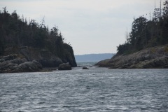 Boat Tour Lighthouse Island