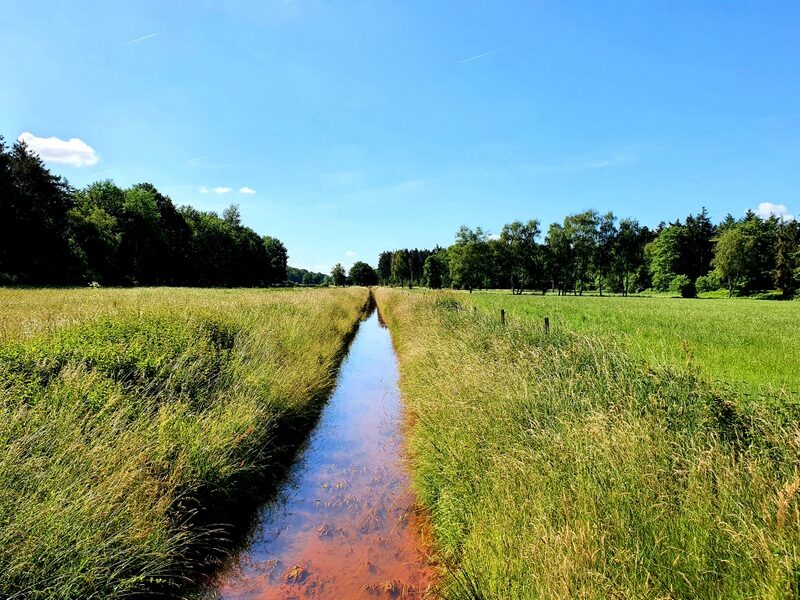 Wanderung Weeze